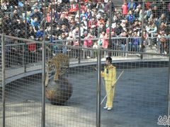 -石家庄市动物园