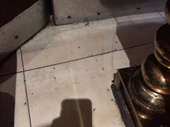 -5号KTV音乐广场(天通苑店)