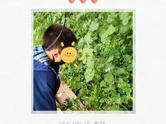 -万源龙顺度假庄园生态观光园