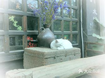 重庆,确是我挺喜欢的一个城市