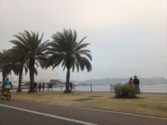 -野狸岛