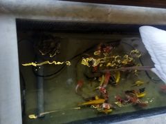 -蘭奢雅集·江浙菜(青山江滩店)