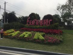 门面-天府芙蓉园