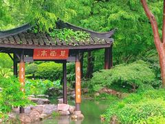 -杭州植物园