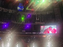 -俄罗斯国家大马戏团