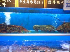 -船梆煮•蒸汽海鲜·炉火烤肉(五四广场店)