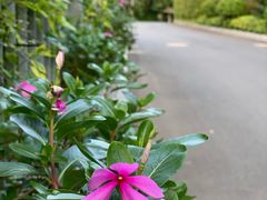 -厦门国家会计学院