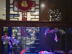 -庐州太太(鼓楼店)