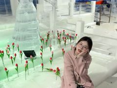 -荷兰花海