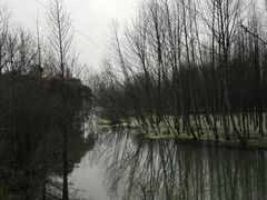 -桤木河湿地公园