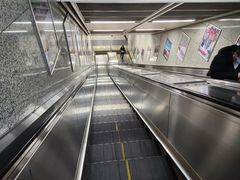-钟方模白家肥肠粉(春熙店)