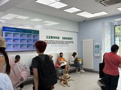 -中国农业大学动物医院
