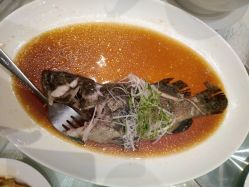 点击看大图 -上海虹桥锦江大酒店·宴会厅