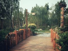 -武清南湖绿博园