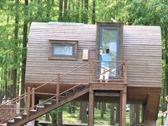 -黄海国家森林公园