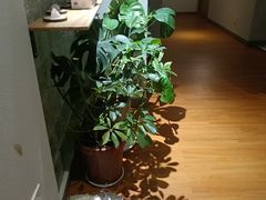 -沐森 •疗愈头疗馆(打浦桥店)