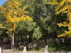 -四门塔风景区