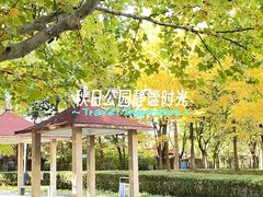 -丰台花园