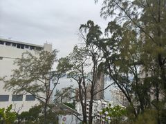 -香港大学