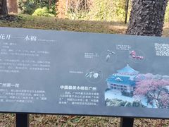 -云溪植物园