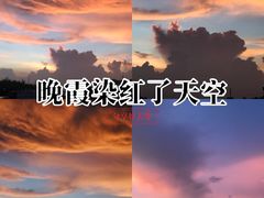 -万绿园