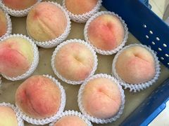 -老袁家蜜桃农场·阳山水蜜桃