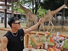 -灵玲国际马戏城