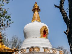 -护国法轮寺
