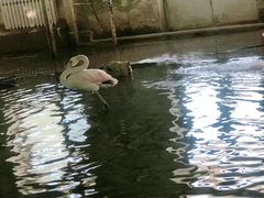 -哈尔滨北方森林动物园