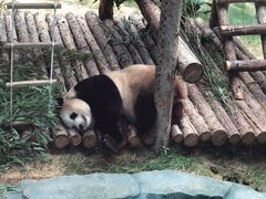 -大连森林动物园