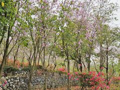 -南宁市凤岭儿童公园