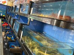 水产区-新河畔海鲜酒楼(虎门店)