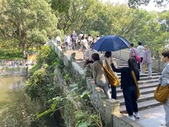 -普陀山风景名胜区-法雨禅寺