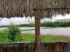 -华侨城湿地公园