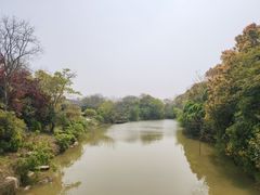 -上海海湾国家森林公园