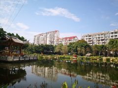 -光明港公园