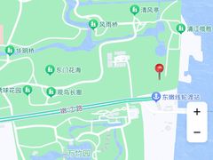 -上海共青森林公园