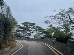 -胡须佬鸡煲四季火锅(龙珠大道店)
