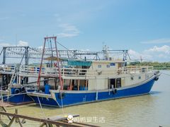 -大湾区中央湿地公园-十九涌