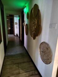 -青青一生美皮肤管理