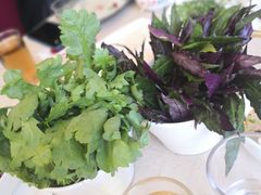 茼蒿-阳坊大都涮羊肉(阳坊总店)