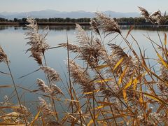 -野鸭湖国家湿地公园