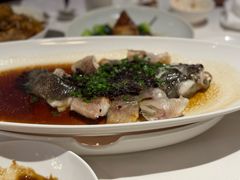 -南麓·浙里(外滩店)