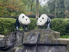 -都江堰中华大熊猫苑