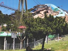 -西霞口神雕山野生动物世界