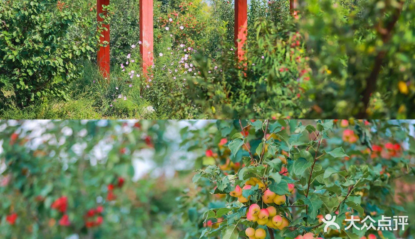 延庆里炮村｜北京秋日的周末乡村游