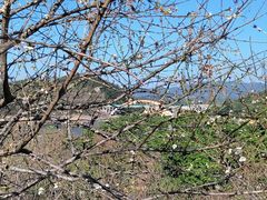 -广州市流溪河国家森林公园