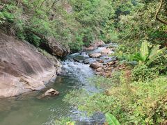 -广州市石门国家森林公园