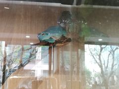 -酷以爬仙阁实体爬宠店·守宫·蜥蜴·专业繁育