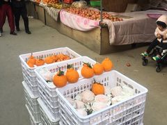 丑橘-十五大街农贸市场